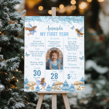 Fairy Winter Wonderland First Year Photo Milestone