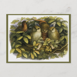 "Fairy with Ugglor" av Doyle Vykort