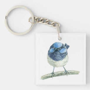 Fairy wren
