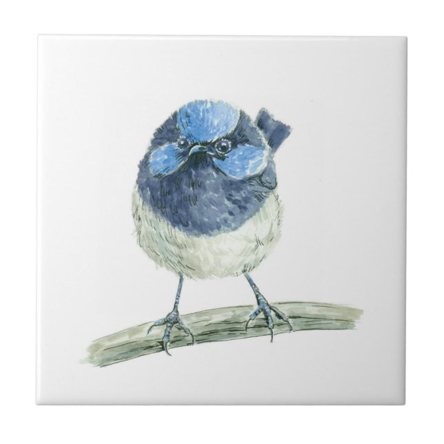 Fairy wren kakelplatta (Framsidan)
