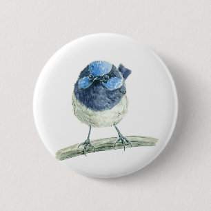 Fairy wren knapp