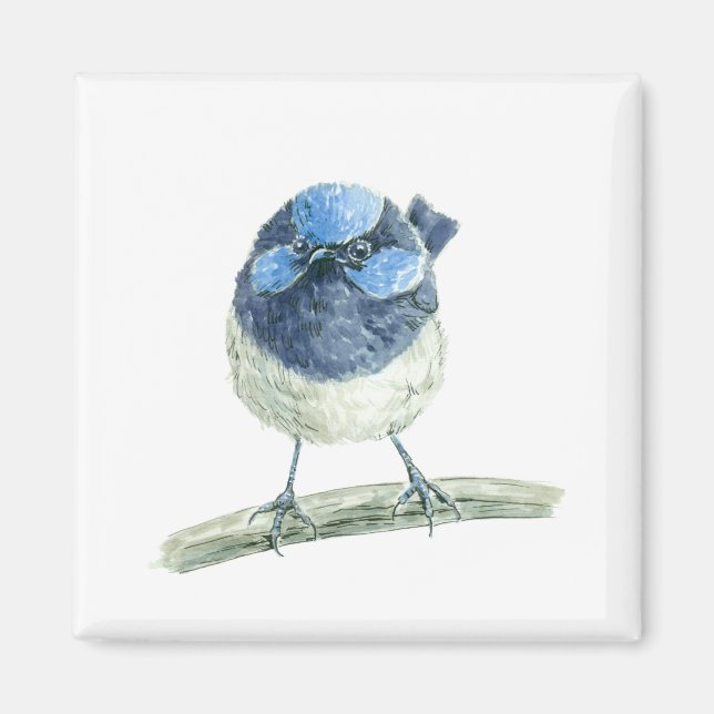 Fairy wren magnet (Framsidan)