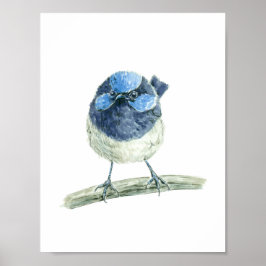 Fairy wren poster