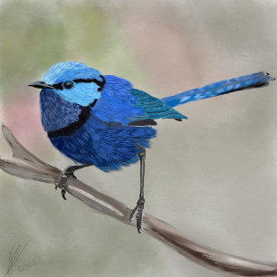 Fairy Wren tothe bag Tygkasse