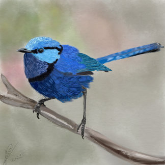 Fairy Wren tothe bag Tygkasse