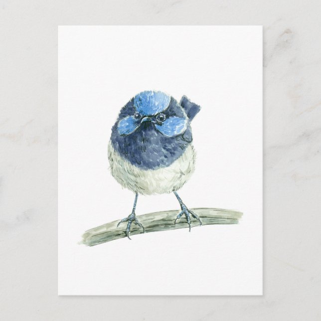 Fairy wren vykort (Framsida)
