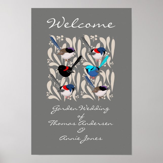 Fairy Wrens Poster (Framsidan)