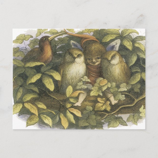 Fairyland,1870 Fairy with Uggla Vykort (Framsida)