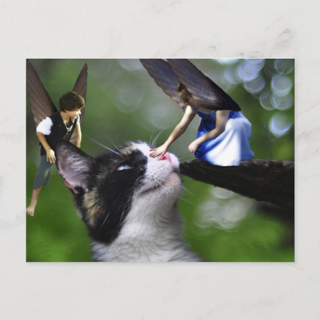 Fairys och Kattunge-postkortet Vykort (Framsida)