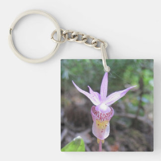 Fairysko Orchid Flower