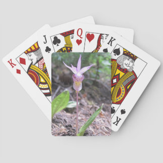 Fairysko Orchid Flower Casinokort