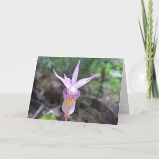 Fairysko Orchid Flower Kort
