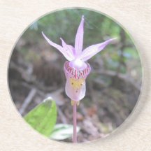 Fairysko Orchid Flower