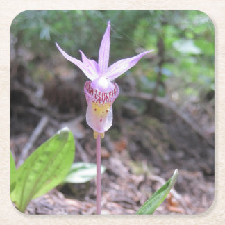 Fairysko Orchid Flower Underlägg Papper Kvadrat