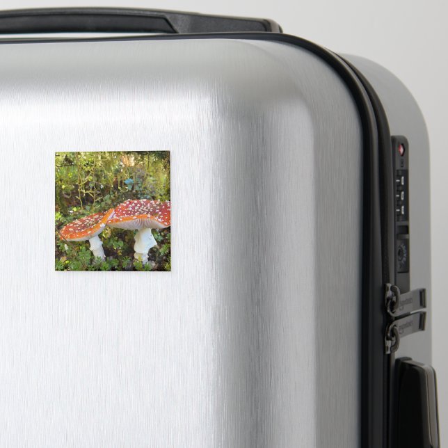 Fairytale MushRume Magnet (In Situ (Luggage))