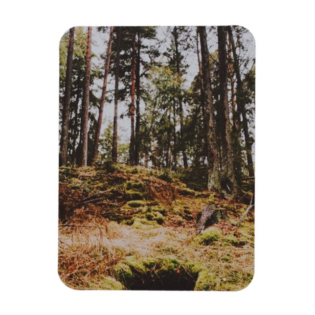 Fairytalskog i den godistiska skärgården magnet (Vertikal)