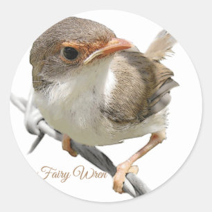 "Fairywren" Runt Klistermärke
