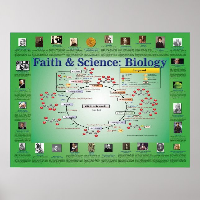Faith and Science: Biology (Krebs Cycle) Poster (Framsidan)