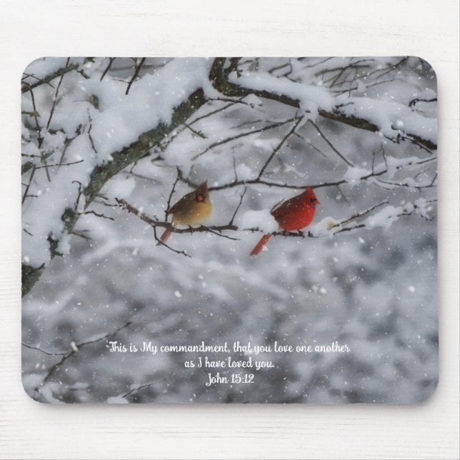 Faith Cardinal Couple in Snow Bible Verse Musmatta (Framsidan)