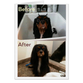 FAITH FÖRE OCH EFTER HÄLSNINGSKORT