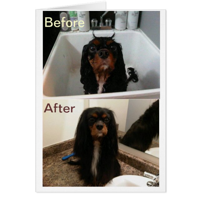 FAITH FÖRE OCH EFTER HÄLSNINGSKORT (Framsidan)