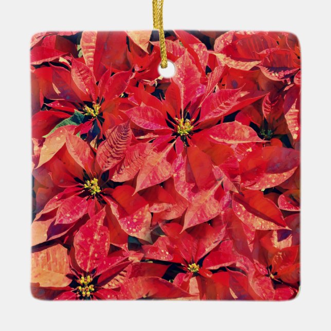 Faith Isaiah Poinsettia Ornament (Framsida)