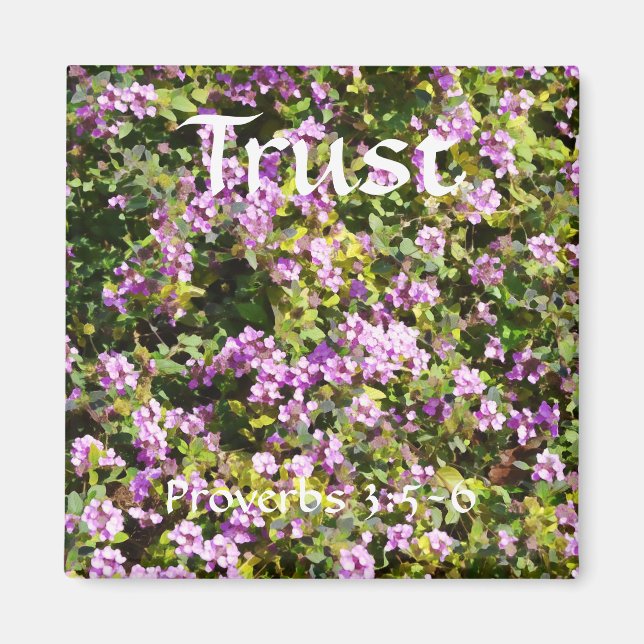 Faith Proverbs Sage Magnet (Framsidan)