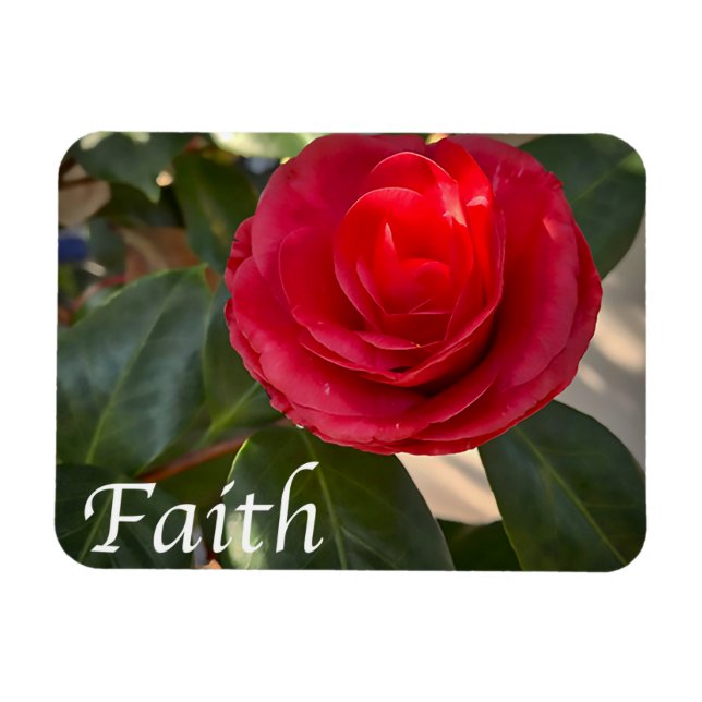 Faith - Red Camellia Bloom Magnet (Horisontell)