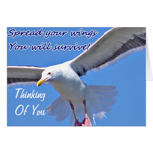 Faith & Strength_ OBS Kort (Framsidan Horizontal)