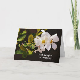 Faith White Blommar Flowers Sympathy Card Kort