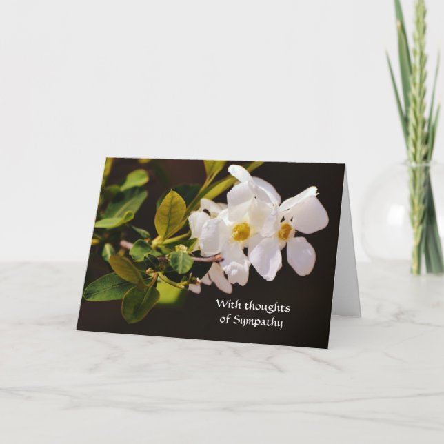 Faith White Blommar Flowers Sympathy Card Kort (Framsida)