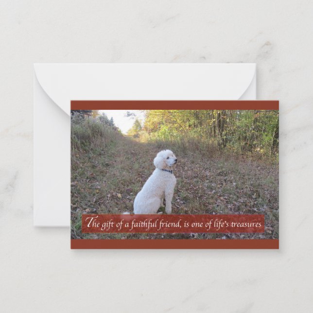 Faithent Friend Pudel Note Card Anteckningskort (Framsida)
