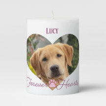 Faithful Assion Pet Memorial Photo Namn Date