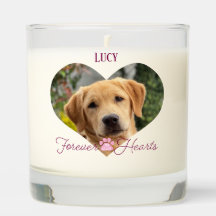 Faithful Assion Pet Memorial Photo Namn Date