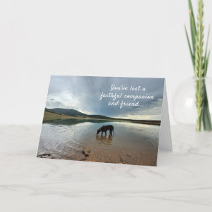 Faithful Suppleant Förlust av Hund Sympathy Card Kort