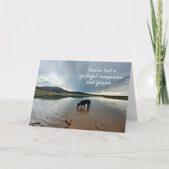 Faithful Suppleant Förlust av Hund Sympathy Card Kort (Framsida)