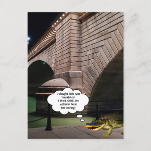 (Fake) Alligator simmar vid London Bridge Vykort