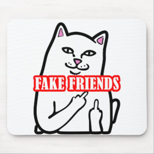 Fake Friends i Mitten Musmatta