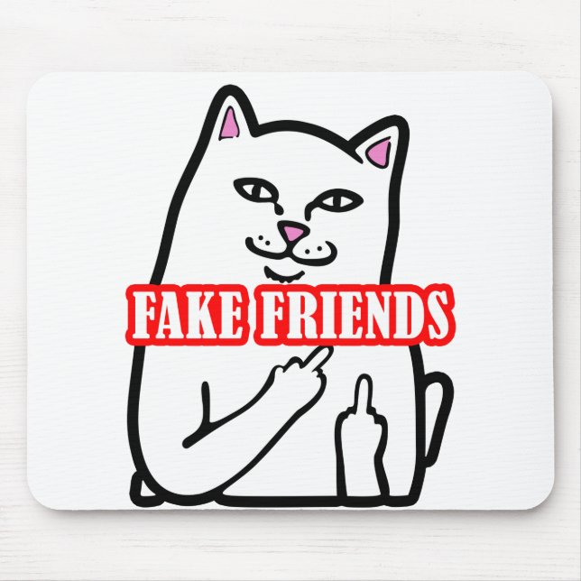 Fake Friends i Mitten Musmatta (Framsidan)