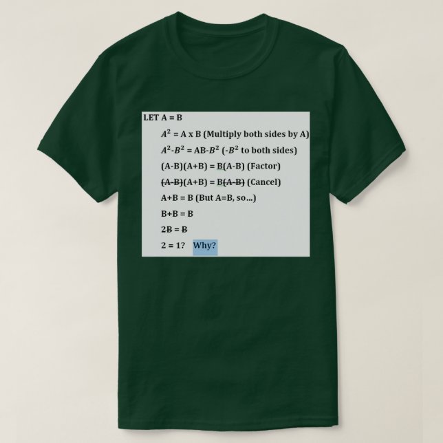 Fake Math-bevis för T Shirt (Design framsida)