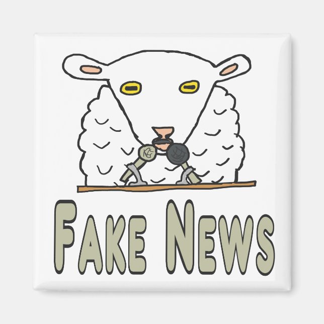 Fake News Magnet (Framsidan)
