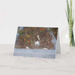 Fake Skeleton in Marigolds Dekoration Photo Kort