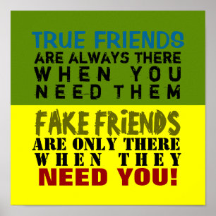 FAKE vs SANT ~ 12X12 Poster