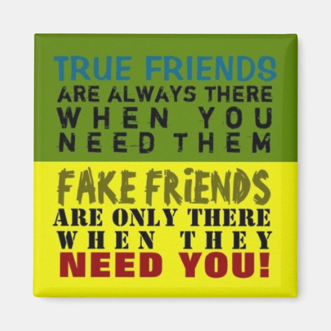 FAKE vs SANUE ~ Magnet Truism (Framsidan)