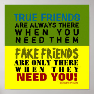FAKE vs TRUE ~ 12x12 Affisch