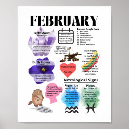 Fakta från februari Roligt Poster