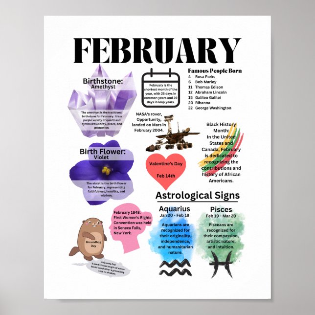Fakta från februari Roligt Poster (Framsidan)
