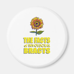 Fakta i Involukrala brott -  sunflöde Magnet