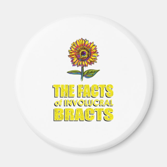 Fakta i Involukrala brott -  sunflöde Magnet (Framsidan)