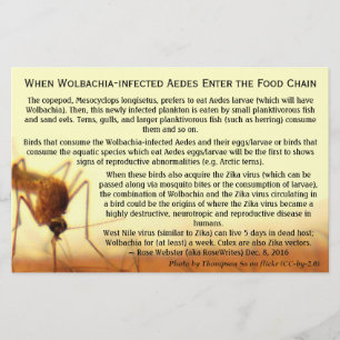 Fakta: Wolbachia-infekterade Aedes by RoseWrites Flygblad